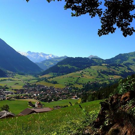 Sonnegg Hotel Zweisimmen Exteriér fotografie