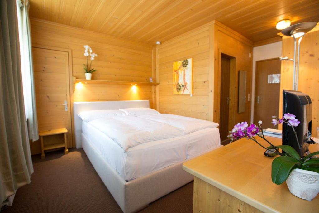 Sonnegg Hotel Zweisimmen Pokoj fotografie