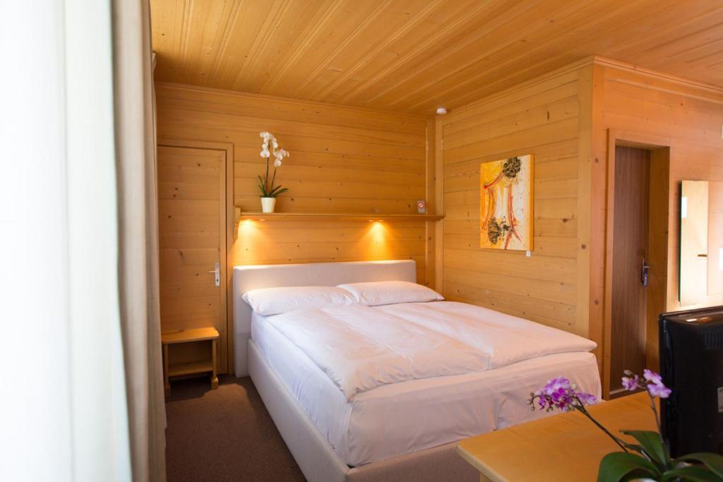 Sonnegg Hotel Zweisimmen Pokoj fotografie